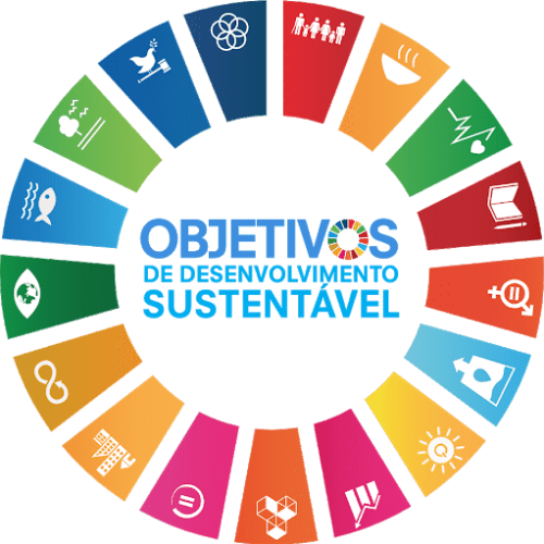 Objetivos do Desenvolvimento Sustentável (ODS)